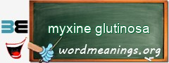 WordMeaning blackboard for myxine glutinosa